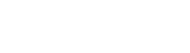 Detail It Logo